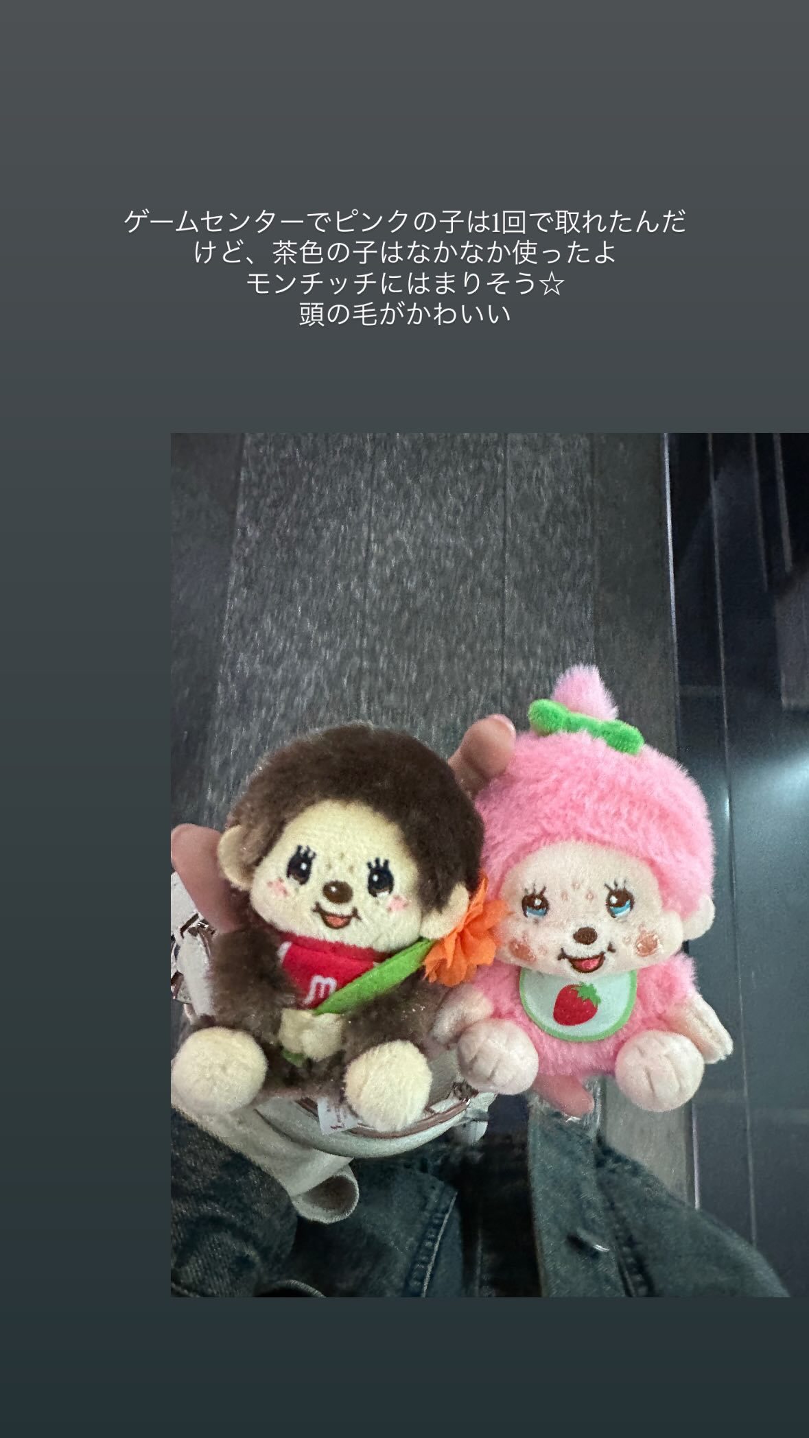 筒井あやめ「モンチッチ！」