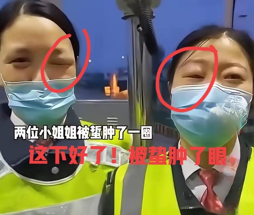 都说了不让你开箱开箱！你非得要开！好了吧这下，无话可说了吧！养蜂人过收费站遇上