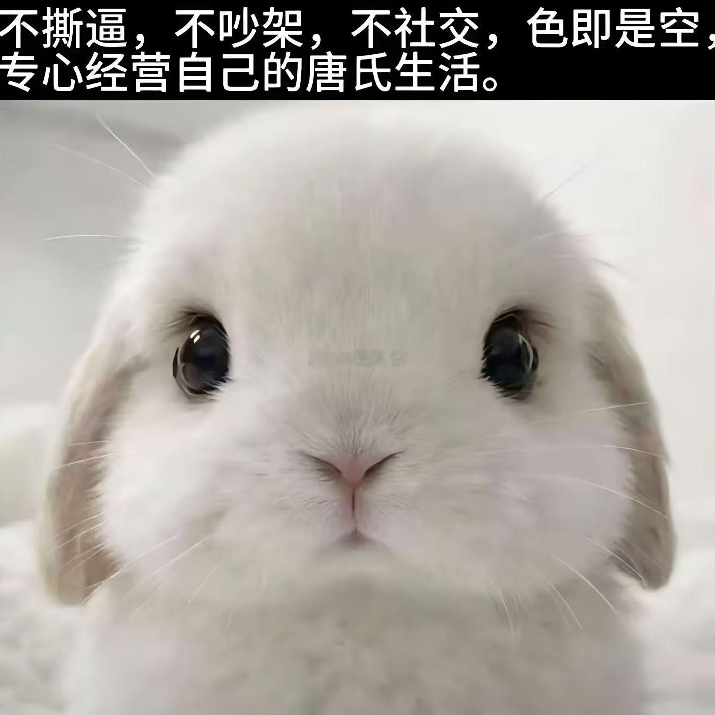 你会觉得我很可爱嘛
