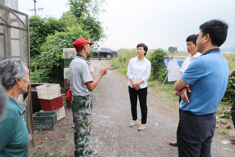 含山县县长田昕督查禁养区畜禽养殖场关闭搬迁工作