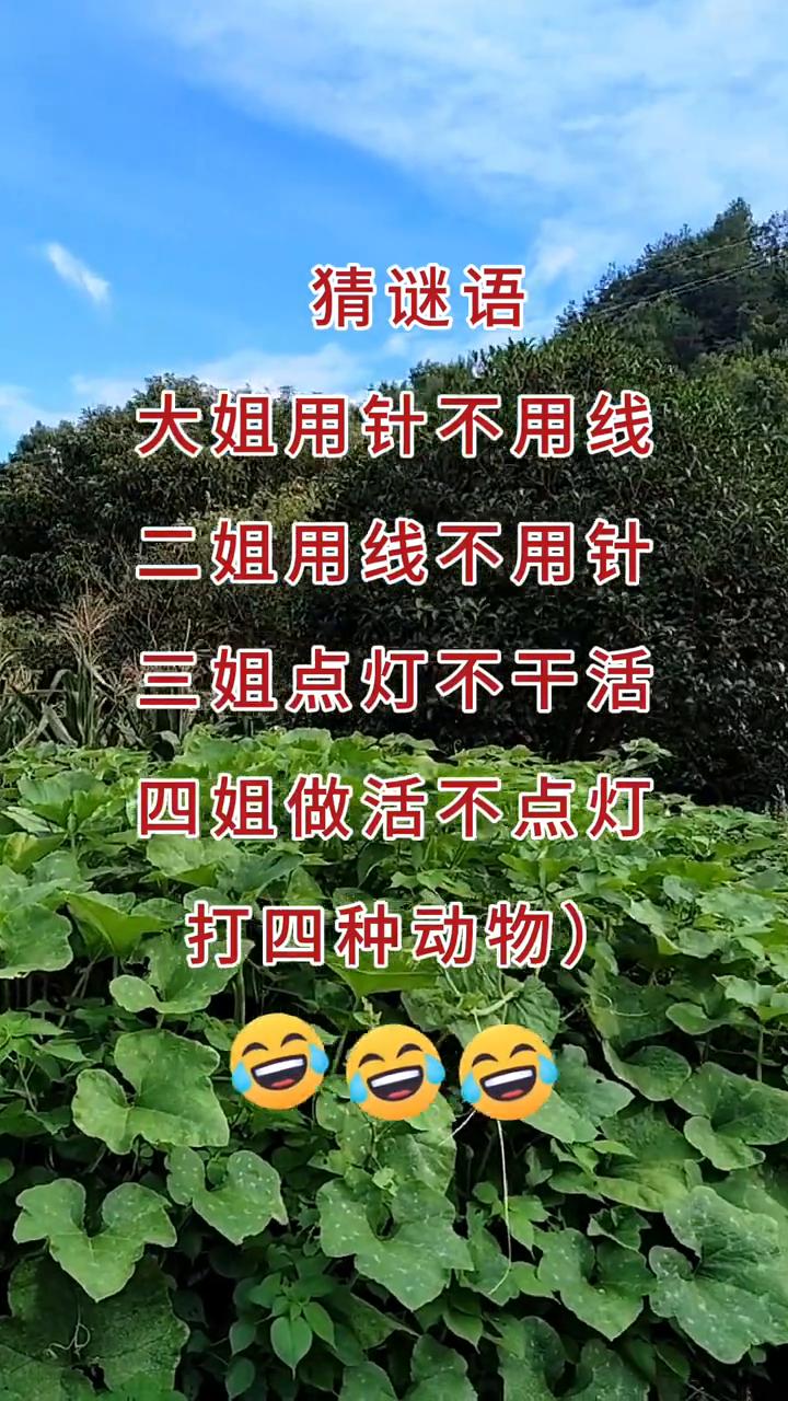 猜谜语：大姐用针不用线，二姐用线不用针，三姐点灯不干活，四姐做活不点灯。打四种动
