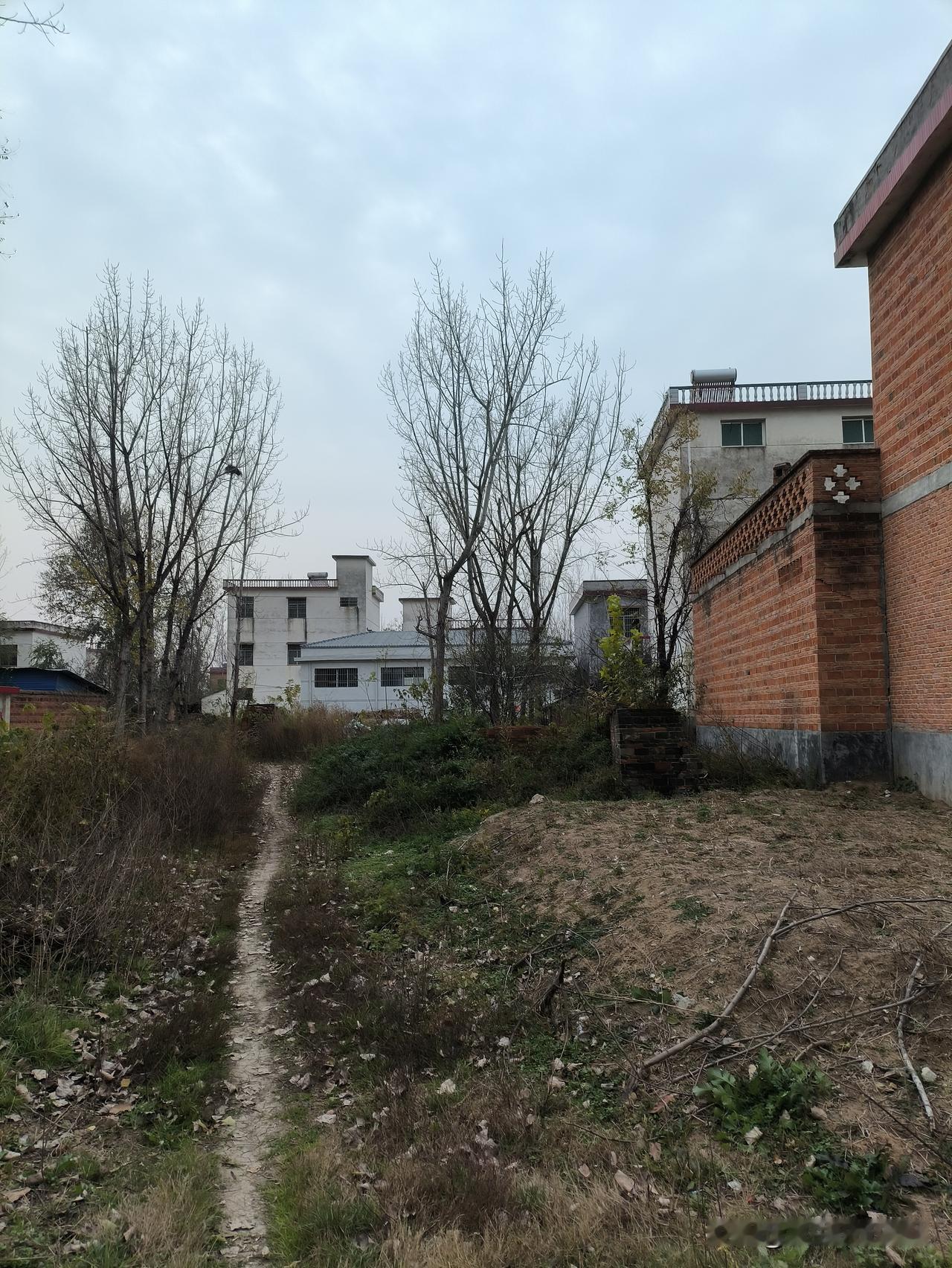 这样的老人，简直是儿女们的灾祸！有位八十一岁的老人，儿孙成群。今年入冬以来，