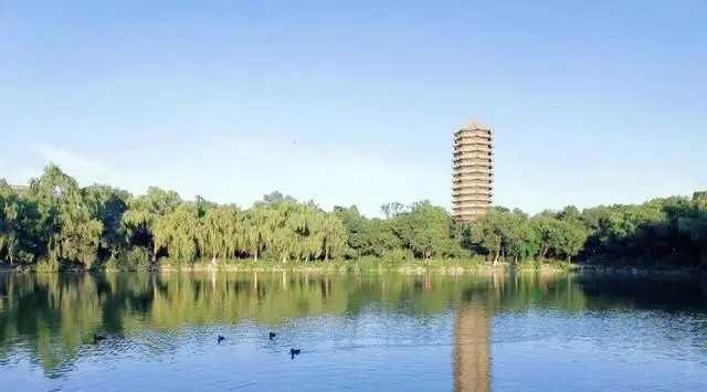 985大学代表着国内顶尖学术水准，是众多学霸的目标，但各所985录取难度有差距。