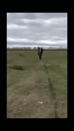 现在的广告都这么癫了吗