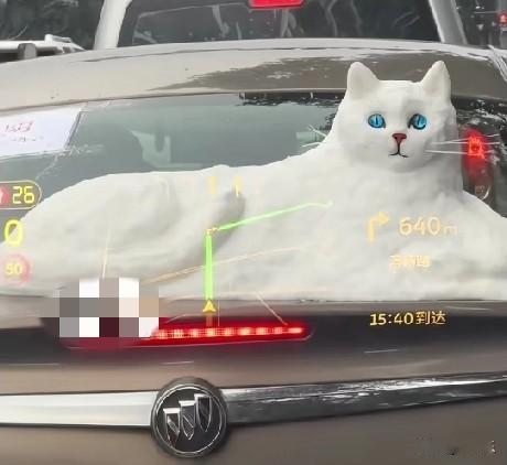 天呢！这是哪个“显眼包”？[捂脸哭]1月20日，江苏无锡街头一辆车上“躺着”