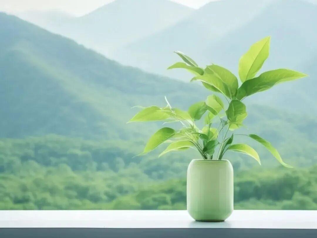 女儿打电话说今年不回家过年了，可是女婿的安排却让我差点哭了。张姐的女儿去年刚