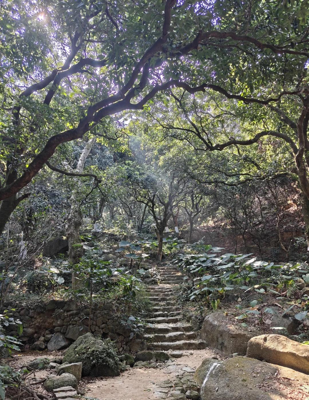 黄埔贤江公园小环线难度[比心]推荐指数[玫瑰][玫瑰][玫瑰]🚗【交通指引】