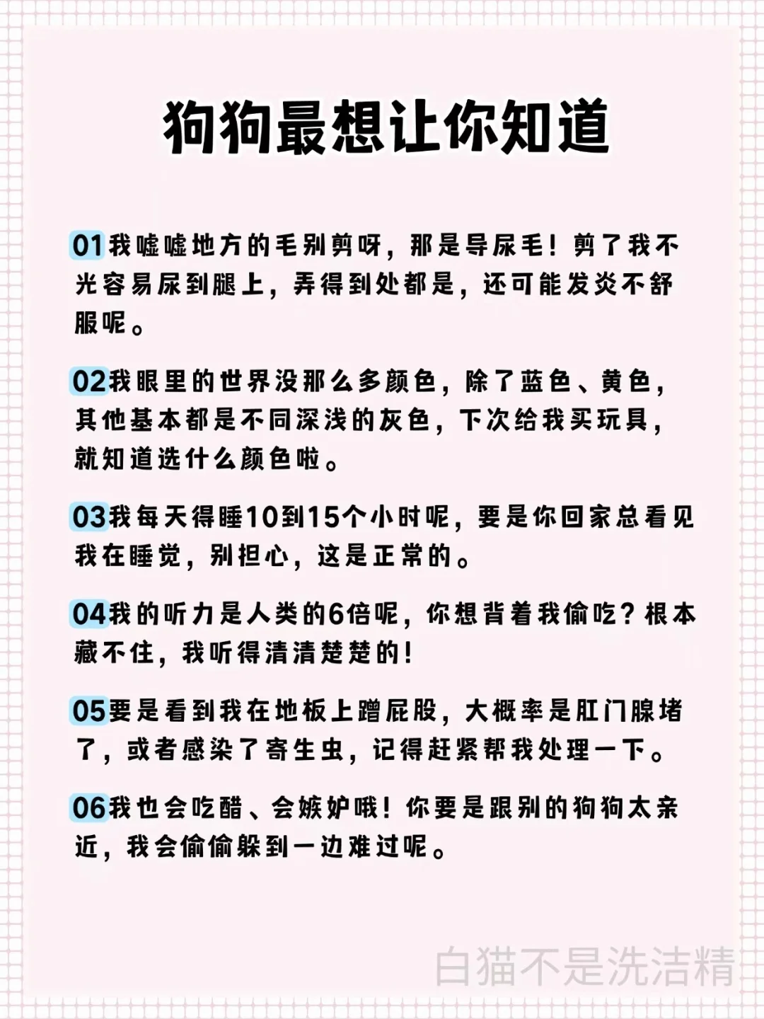 狗狗最想让你知道的事