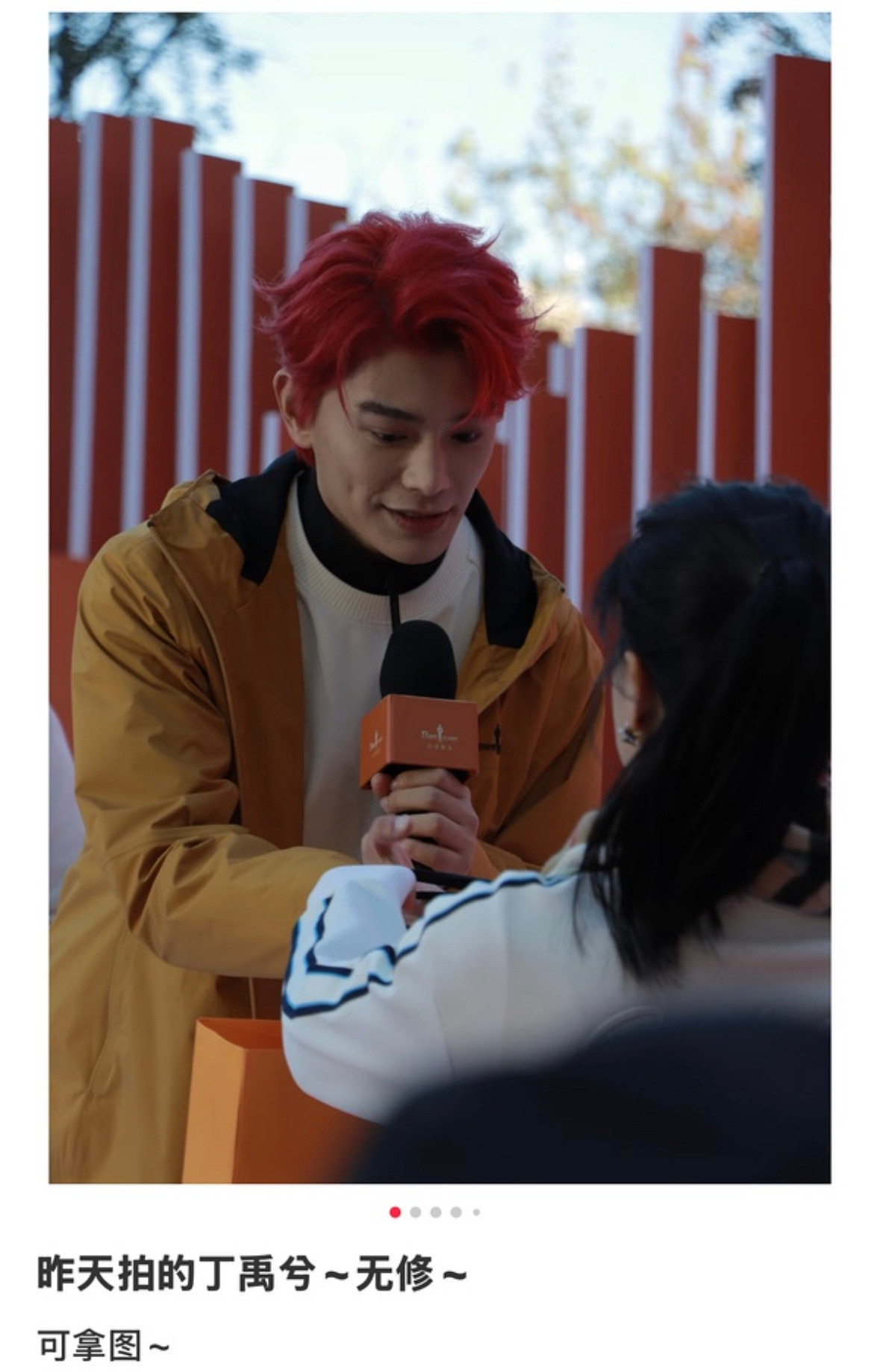 这都是粉丝发的图不是我截的