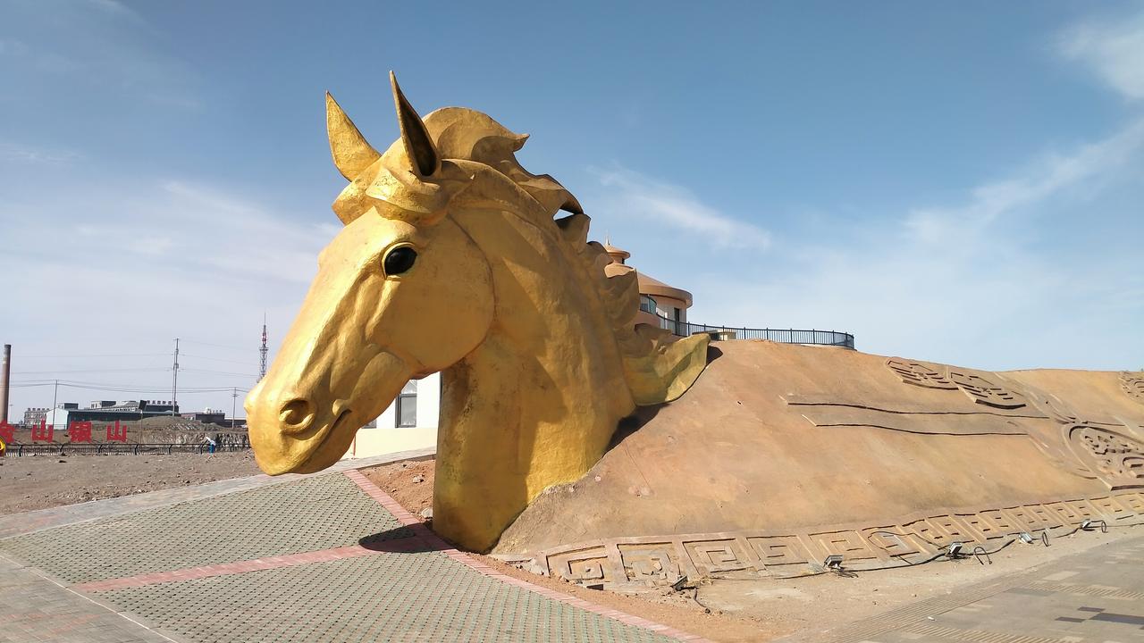 猜猜大金马是哪里的？