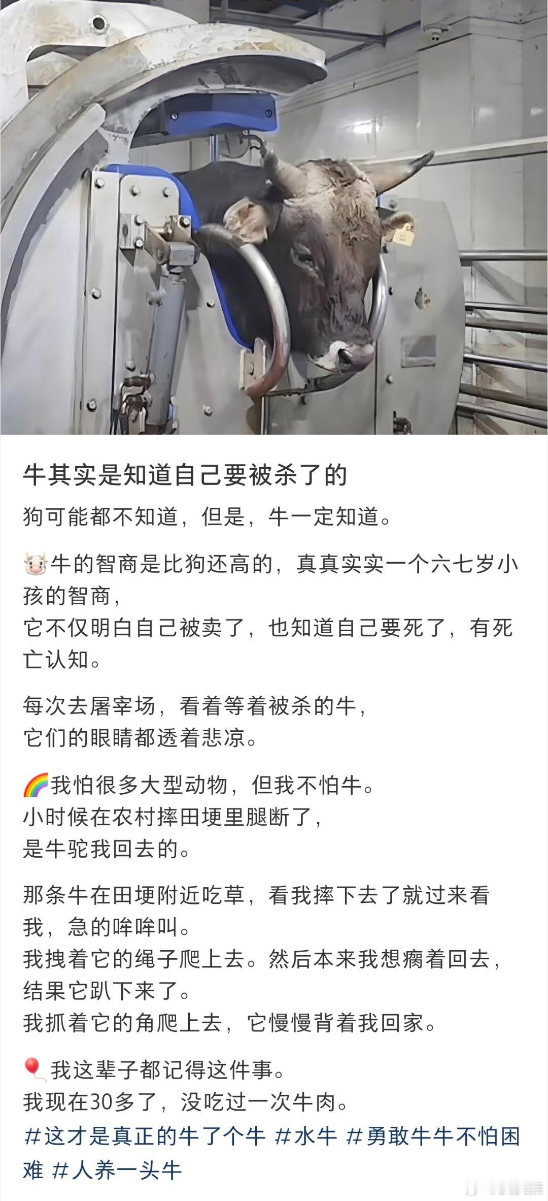牛肉还是很好吃的[doge]​​​