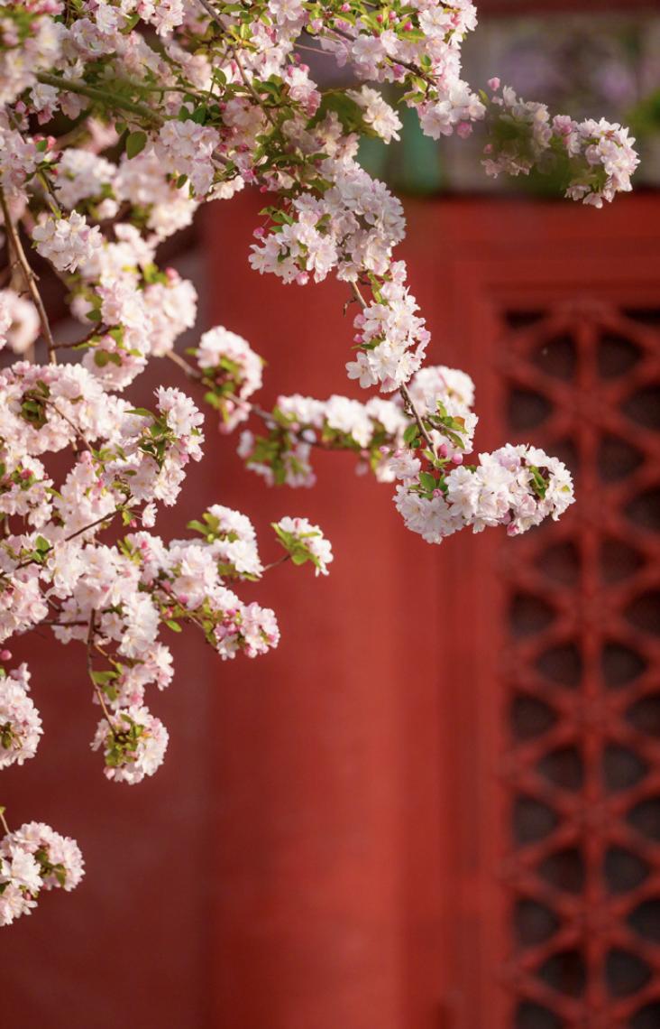 道家有个说法，叫“阳根出阴土”世人常道母凭子贵，我却说——子凭母贵，这才是天