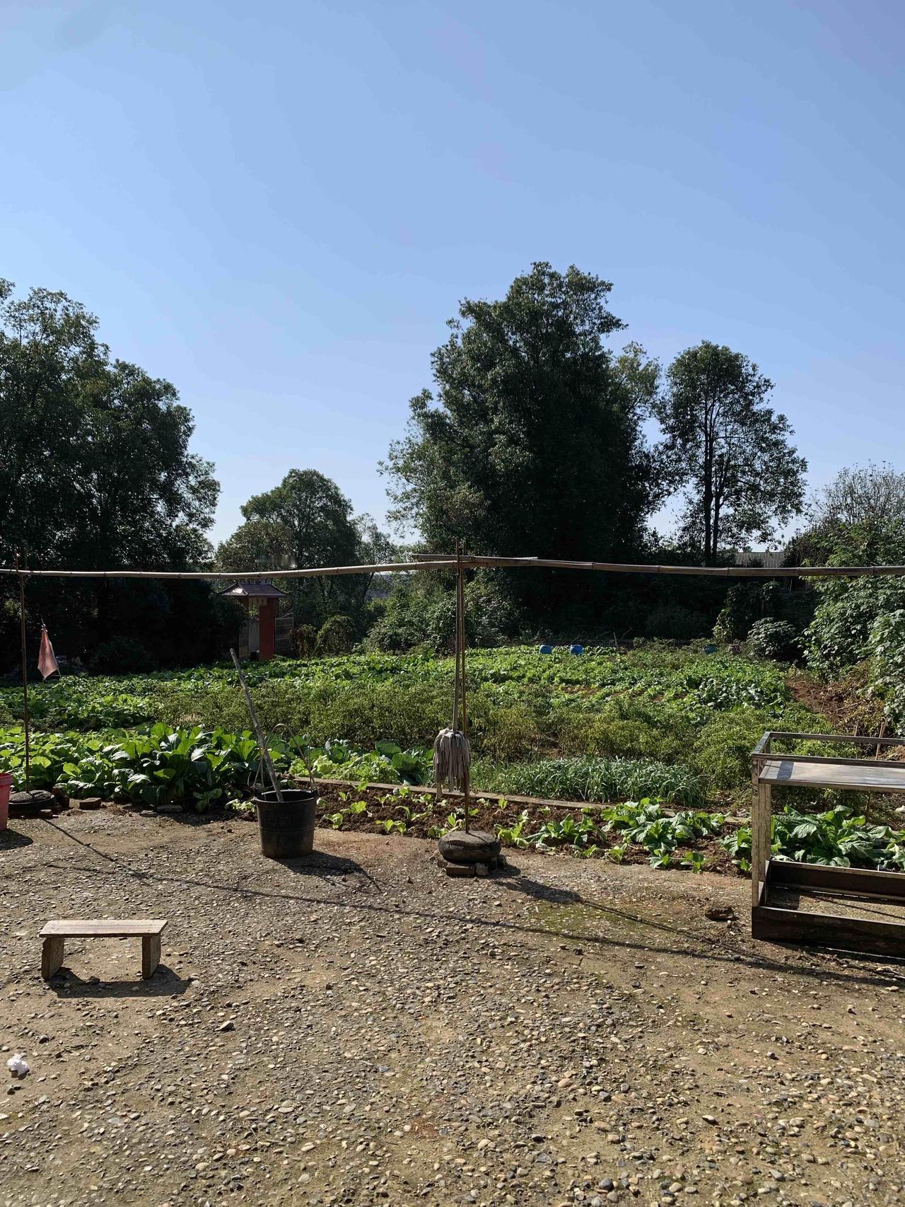 冬日暖阳🍂属于老家的浪漫日常冬天有阳光的日子暖洋洋的迎着太阳一坐就是一上