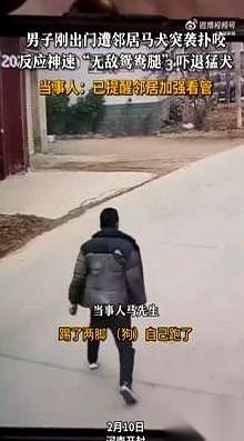 讲真，这视频我看了好几遍，后背还是发凉。刚一开门，一条没拴绳的马犬，就跟离弦的