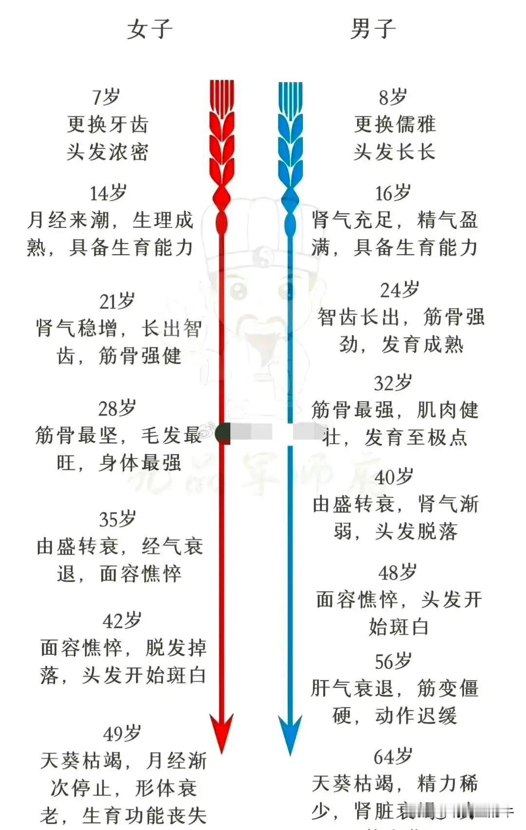 您的身体机能减退了吗？昨天和同事聊到年龄，每个人的见解不同，有人40岁都出