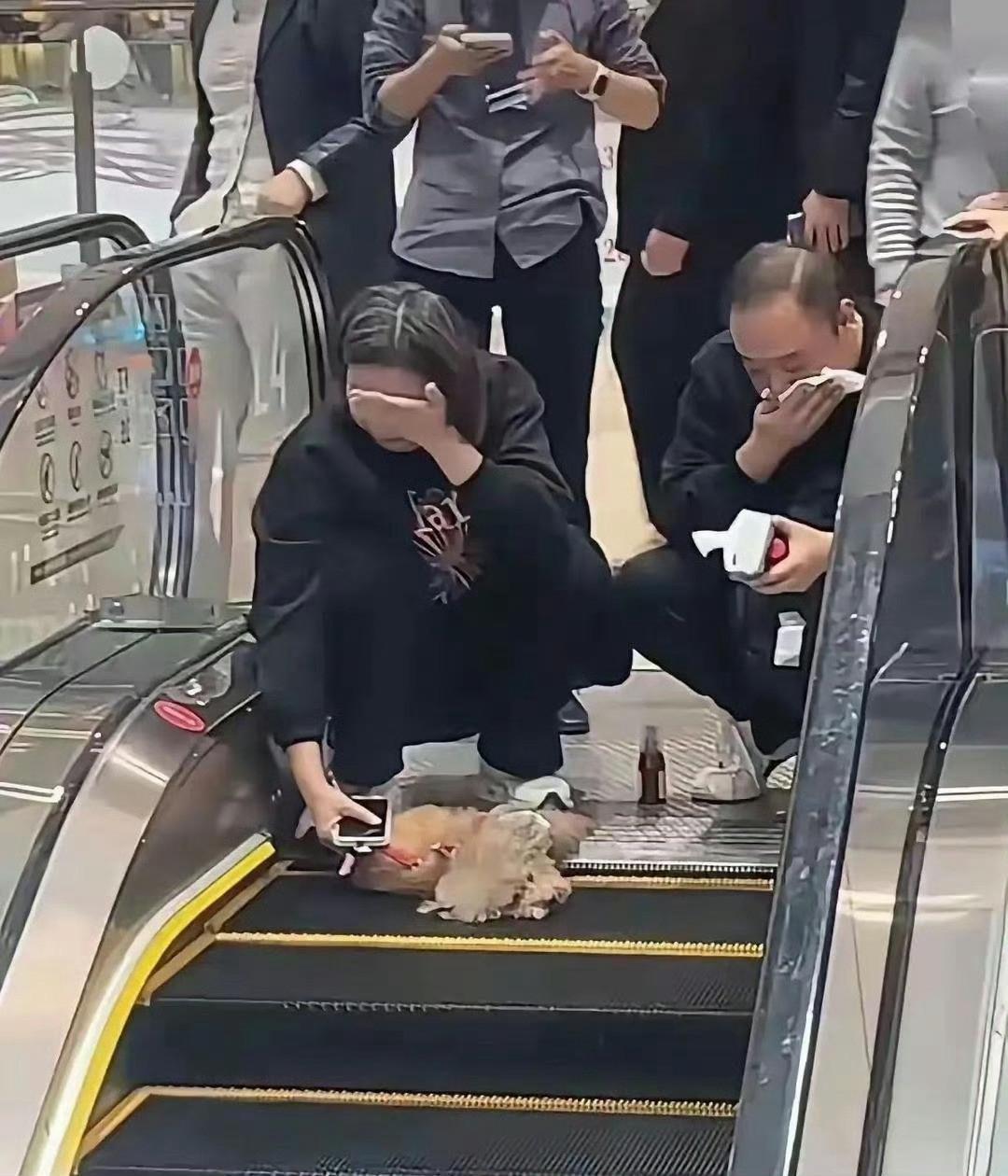 电梯看到的一幕，直接泪目了？
