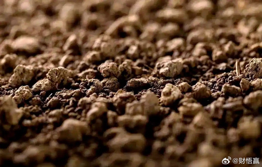 钨价疯涨400%！这把"工业牙齿"正在啃掉谁的饭碗？当钨精矿价格一天暴涨6万