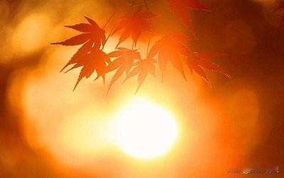 全部是缩量反弹，那么筹码哪去了？周二市场终于走出了羞羞答答的反弹，因为早盘前