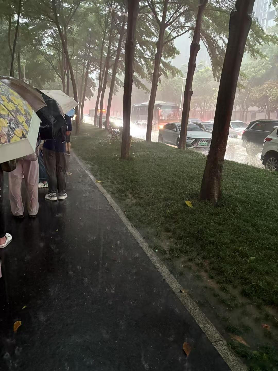 上班的时间点，可怜的牛马，可能牛马还不如！​​​