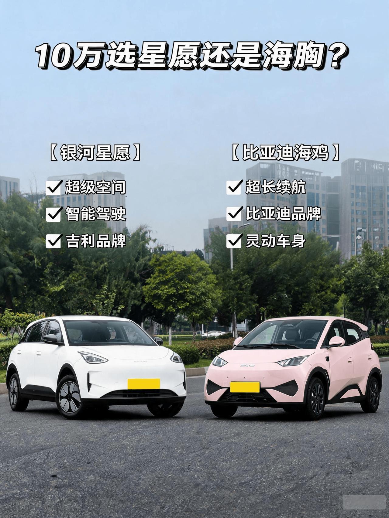 10万选星愿还是海鸥？表妹最近跑了两家店把这俩车都试驾试乘了下，本来预算卡死1