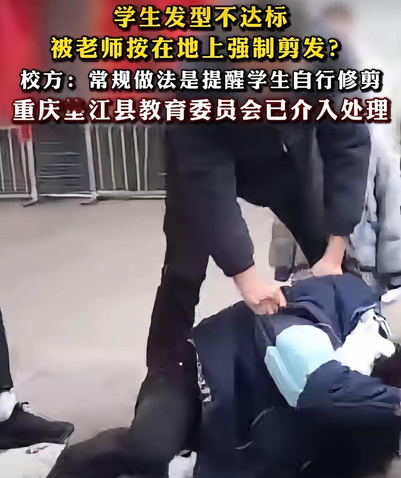 我突然厌倦了这种所谓教育投诉的狗屁倒灶的事情，但凡一个真正关心教育的人都不会去伤