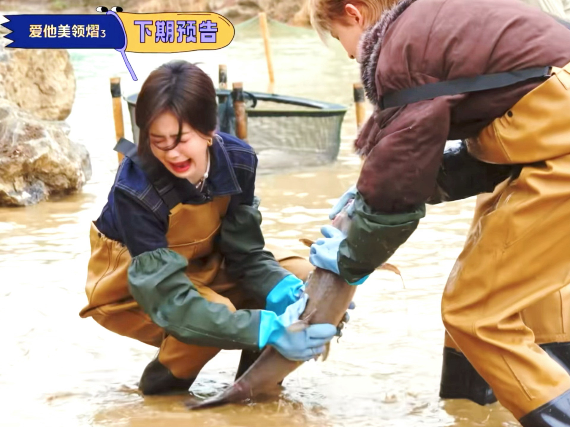 🐟：该尖叫的不是我吗？哈哈哈哈哈哈哈白鹿好像被鱼打了白鹿好像被鱼打了