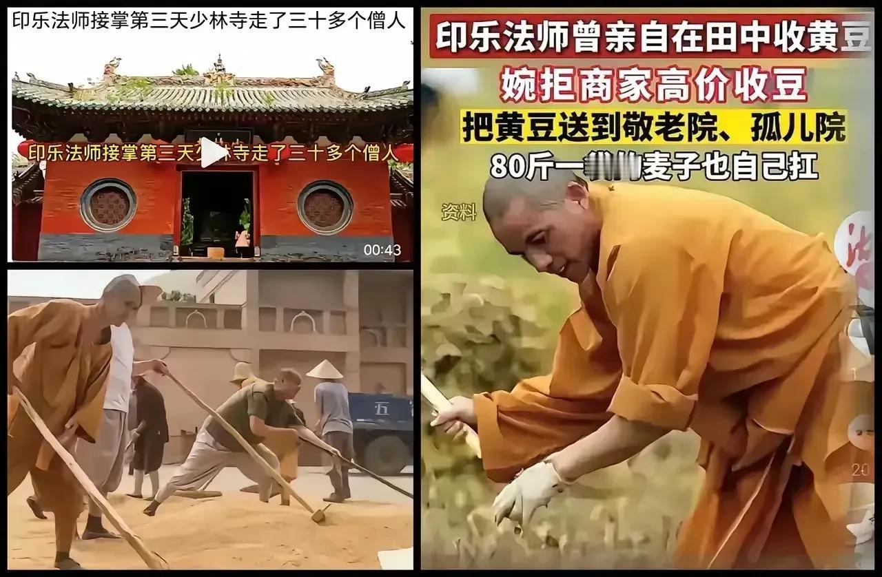 少林寺新的CEO屁股都没坐稳，就有好些和尚开始跳槽了，据说第一天就走了30多个