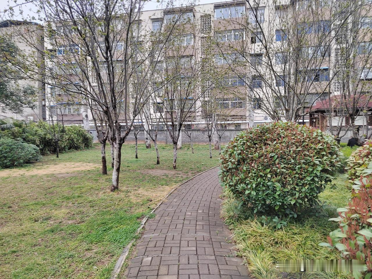 我自由了！今年2月份，也就是过年放假那会儿，我到站了！我告别了职业生涯，从此