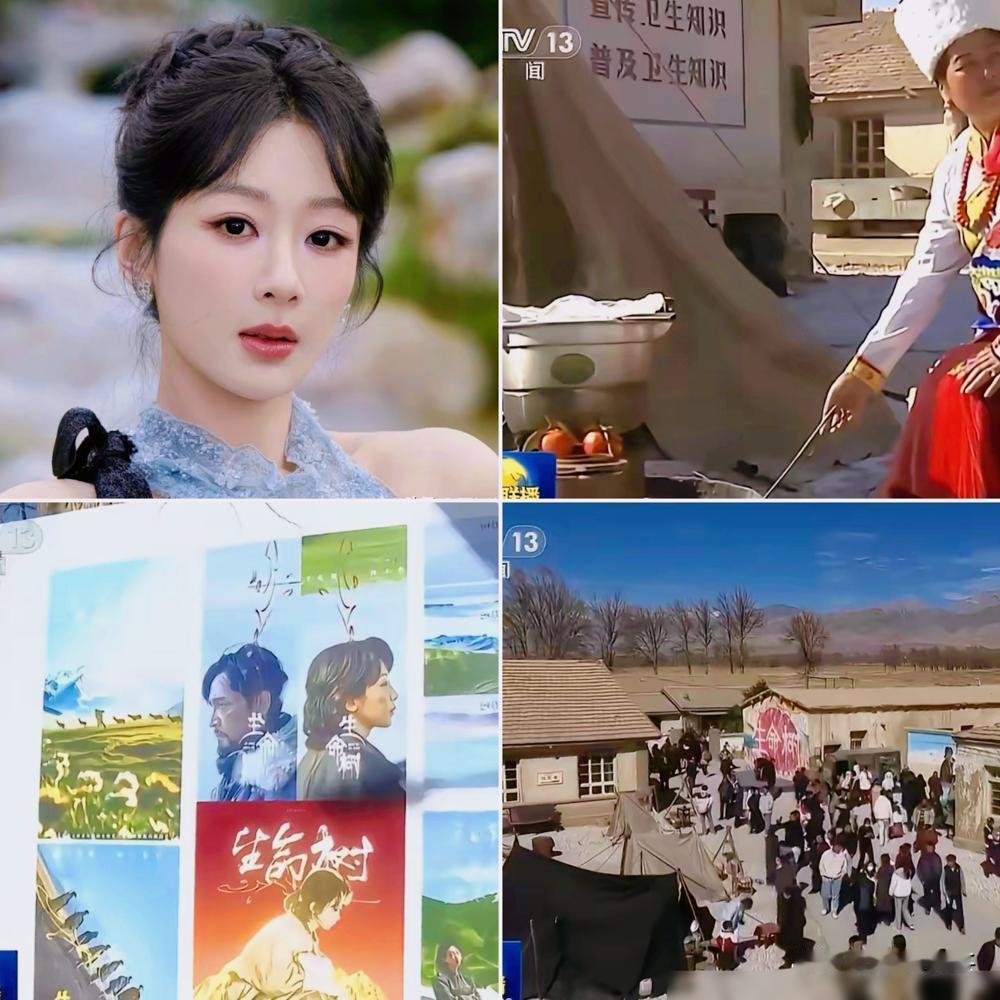 杨紫被官媒焊死“实力派”？别感动。她不是转型，她只是完成了一场顶级流量的终极献祭