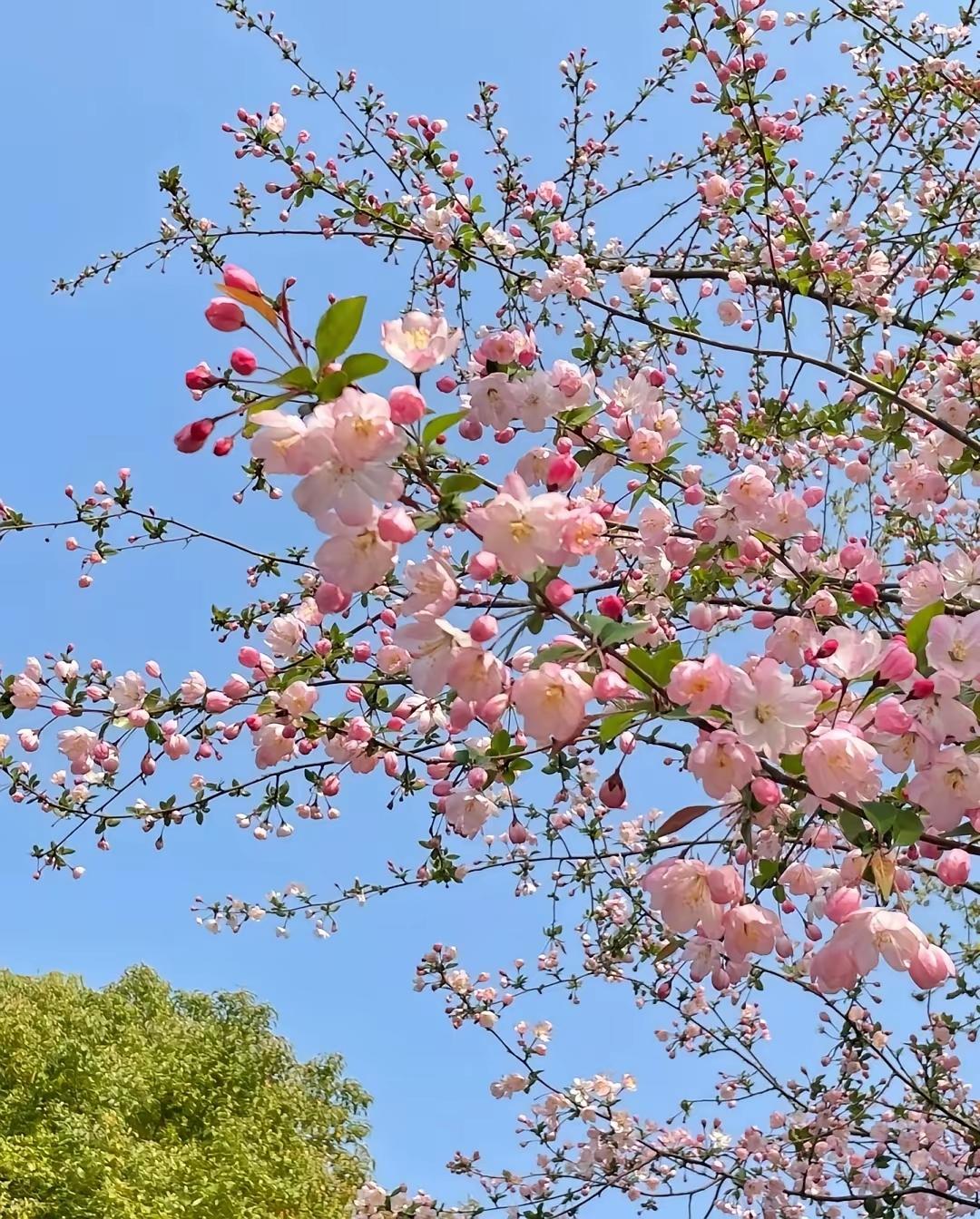 人这一辈子，别把美好都寄望明天人这一辈子，别总把期待留给远方，人生最