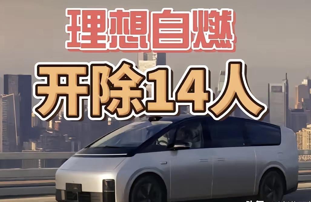 理想汽车开除14名员工这事，背后或许没这么简单。舆论上几乎一边倒，说理想让底层
