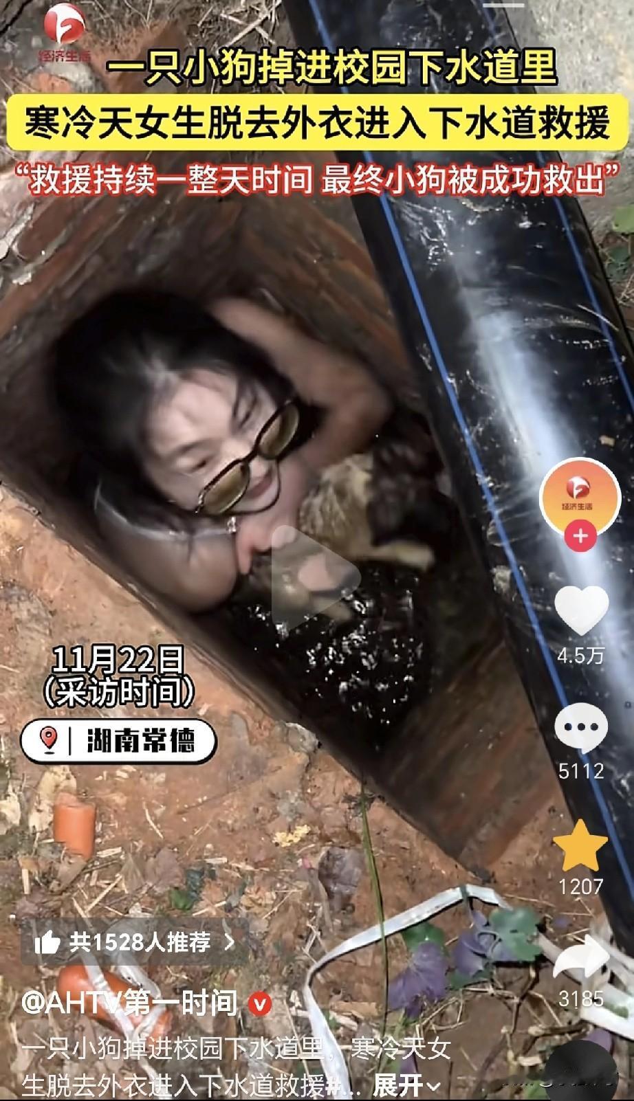 这一幕太感人了！11月22号，湖南常德，一位小狗掉进去了校园下水道，由于洞口狭窄