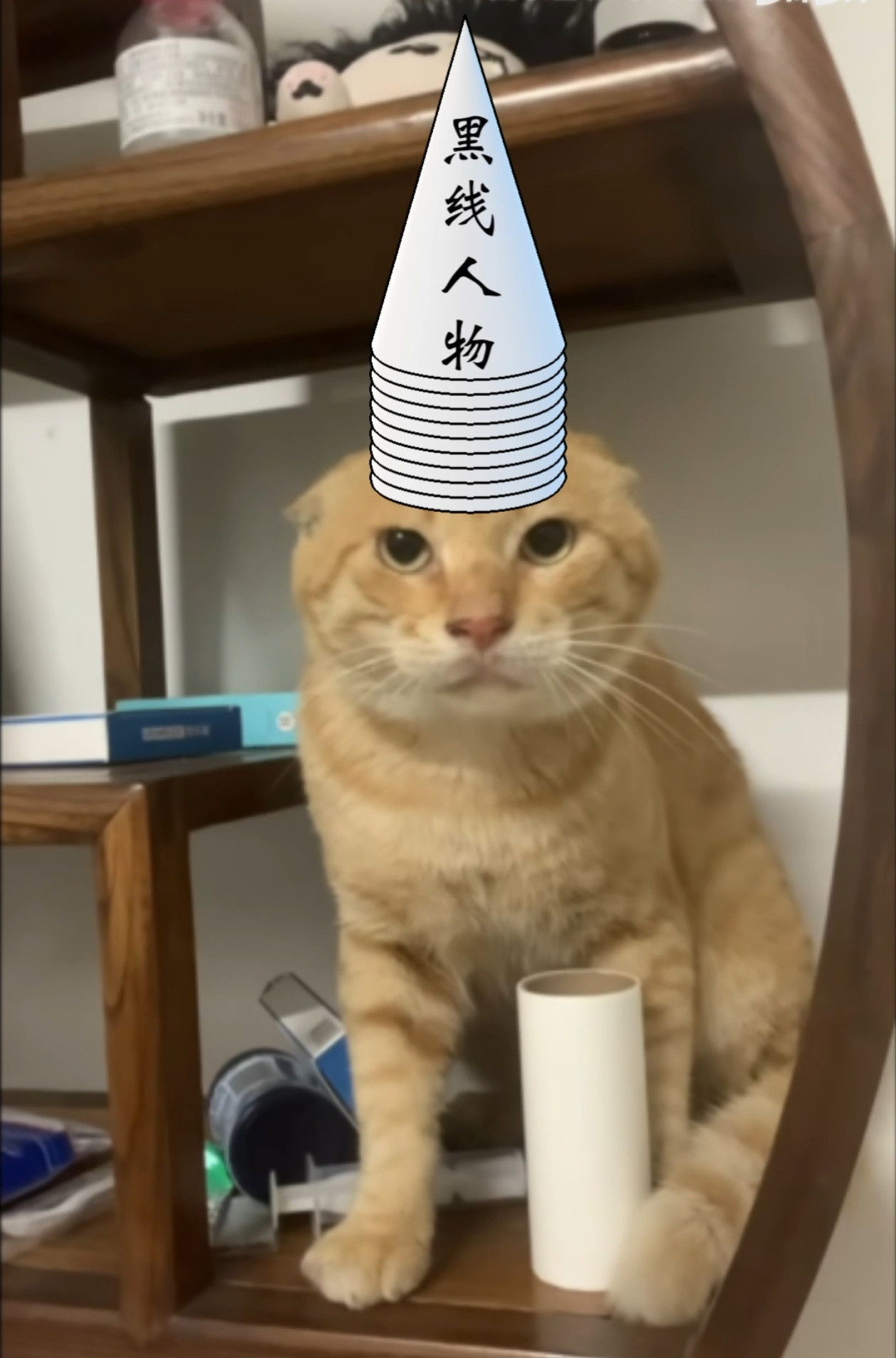 群里评价这是站中间串两边，而我看到了发，我是不是走姿了[爱心][爱心][爱心]