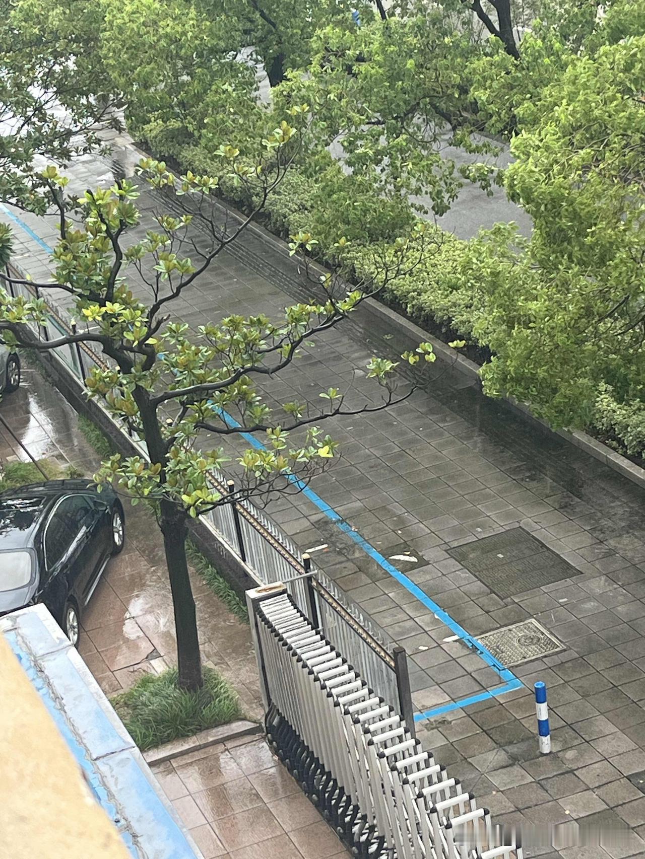 昨晚轻松又得100元。晚上八点，我正在扫尾包饺子，孩爸来电话问：“你在家干嘛