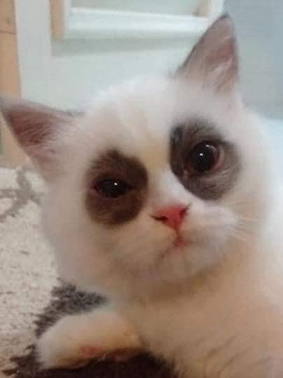 从小就爱熬夜，还没长大就成这样了...