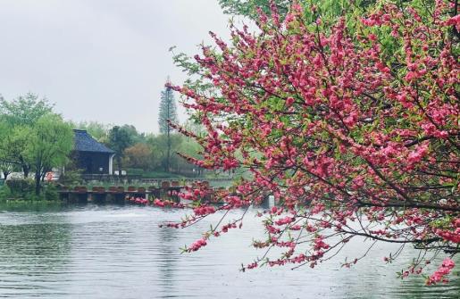 聊天就跟打太极似的，你记着一句话，肯定不会得罪人。就是先别接人家的问题，先把人