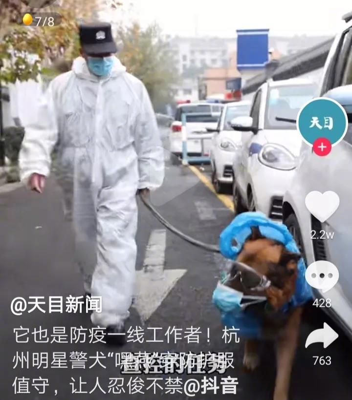 杭州明星警犬嘿燕是防疫一线的工作者，同时也是反诈骗的宣传员。如今嘿燕也穿上了防疫