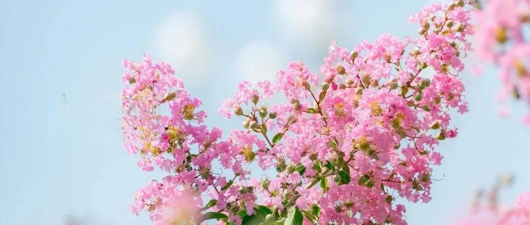 上周，办公室同事请了7天年休假，办完请假手续，对我们说家中有点事，就匆匆离开刅公