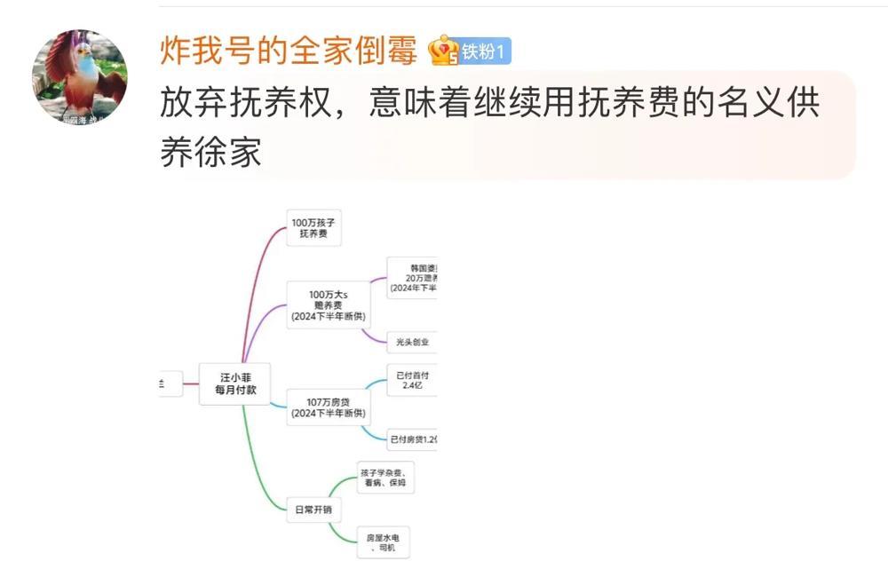 台湾律师都威胁到汪小菲了，真是无语！台湾律师：汪小菲，既然你想要孩子的抚养权