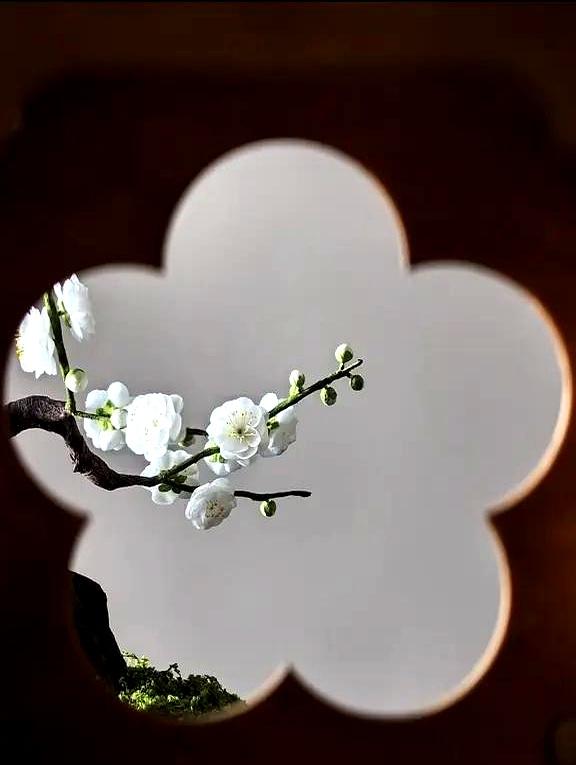 婚外情里，到底谁输得更惨？说白了，开始以为是感情，最后全成了生意。就像这位孙