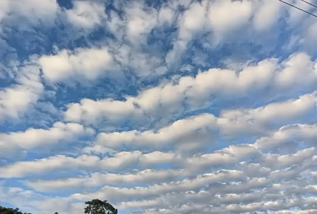 闺蜜15年没上班，靠老公给的买菜钱抠抠搜搜，再倒腾点小副业，居然攒下39万。她