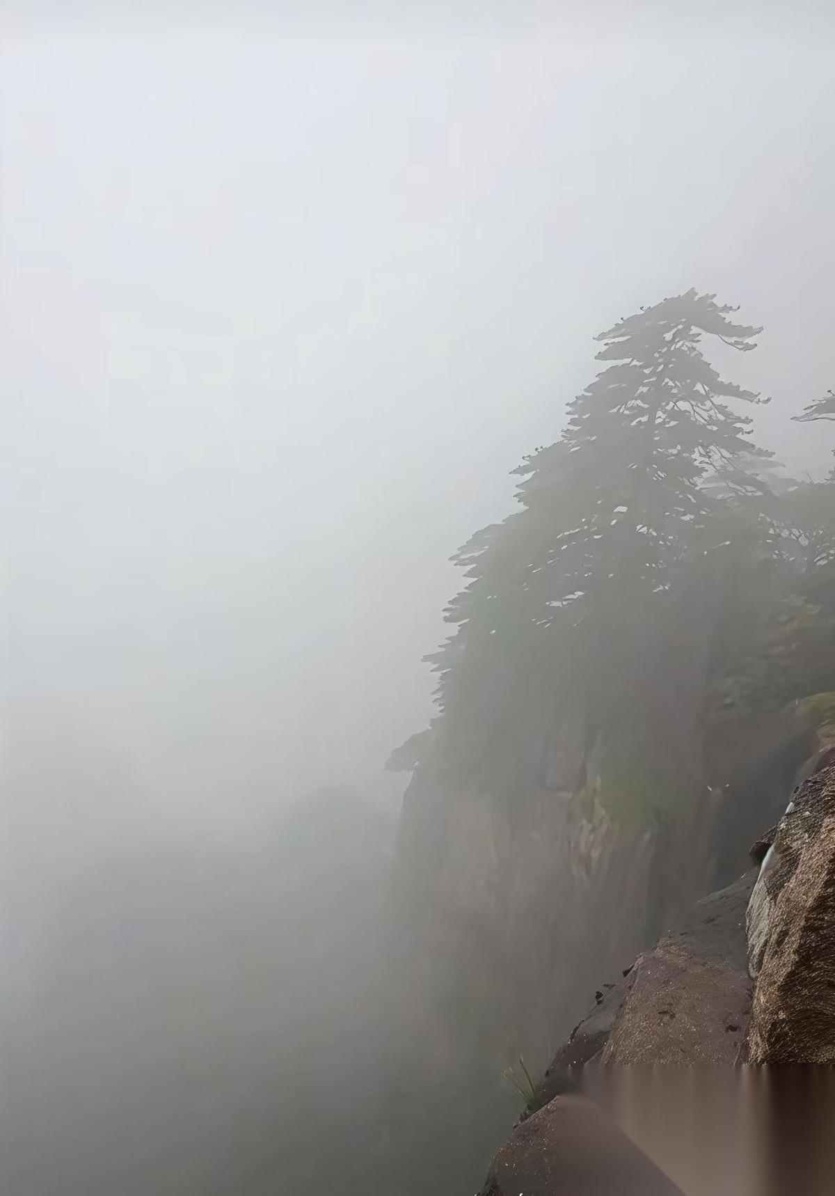 门票190，索道上行90下行80，光来回索道就170。最坑的是景区换乘大巴还是单