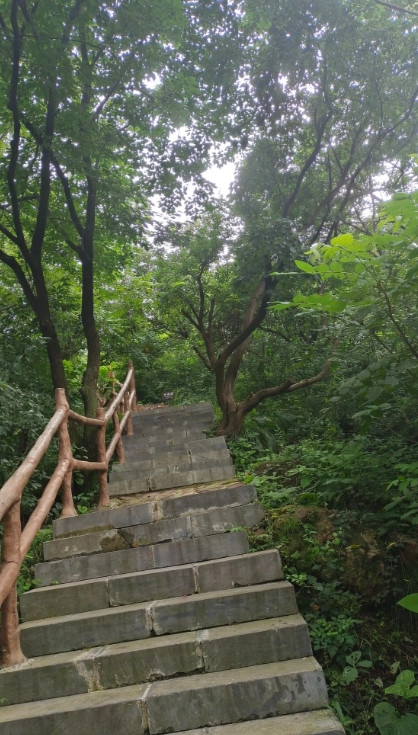 人情冷暖我算是见识了。我一个高中同桌，原先家里很有钱，后来他爸犯事儿进去了，家里