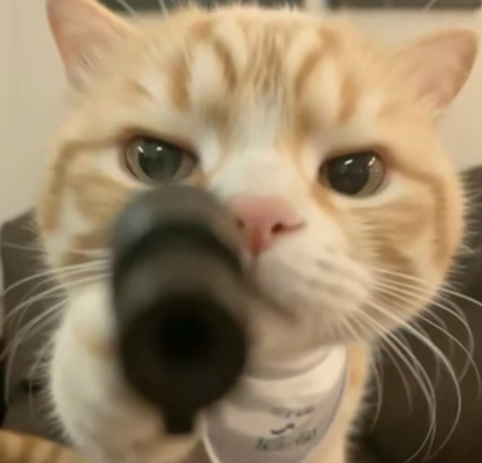 迪丽热巴表演打奶嗝这不就是吃猛吃撑了的正常生理反应嘛！剧里设定是贺思慕第一次拥