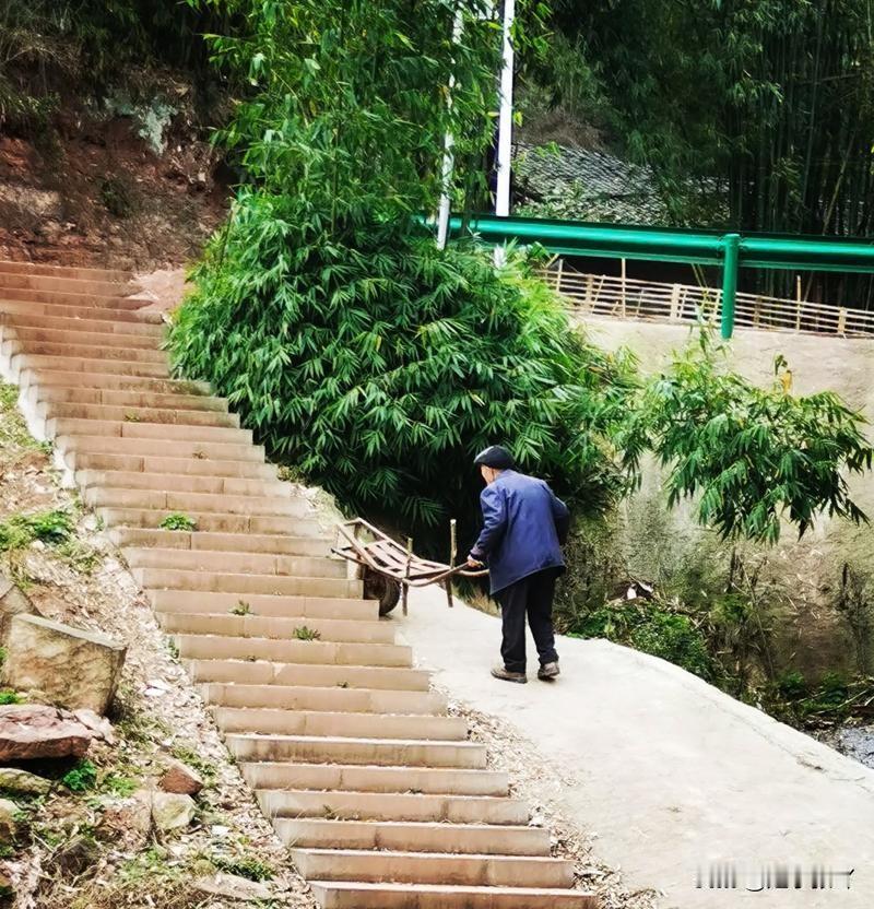 我发现根本就没人在意你的死活今年3月，我的舅舅因为交通事故去世了，留下两个儿子