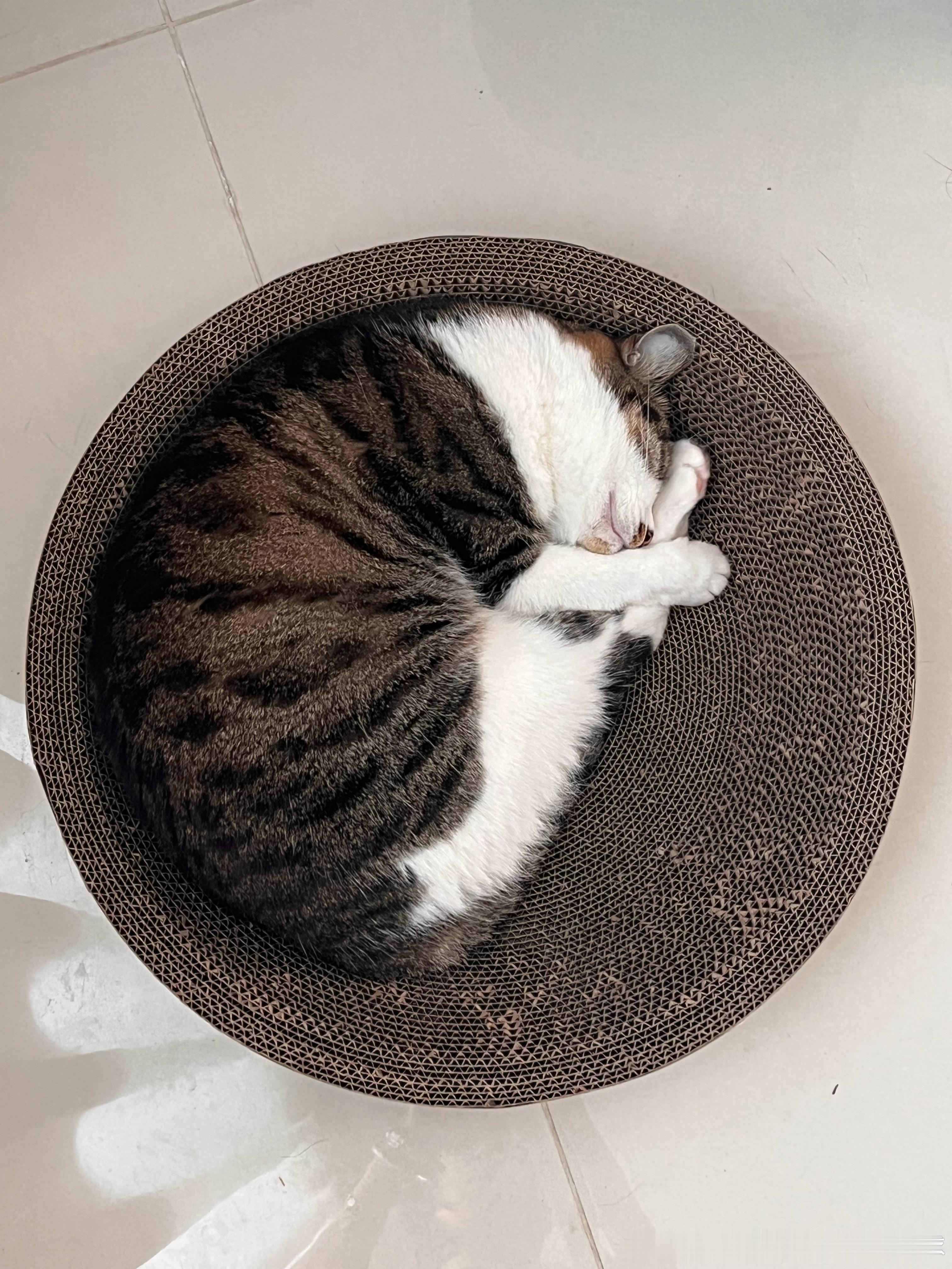 下弦月🌗