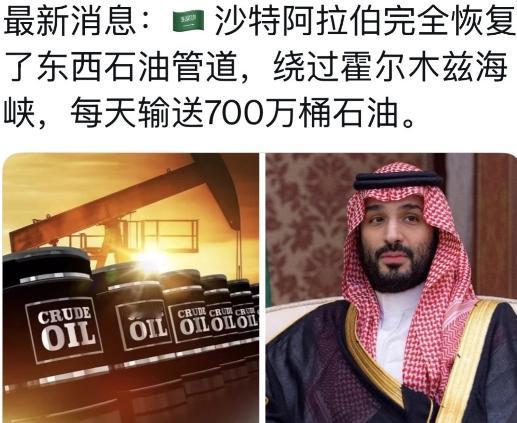 终于知道，巴基斯坦军队进驻沙特的主要目的和任务了。 巴基斯坦派出的不是防空部