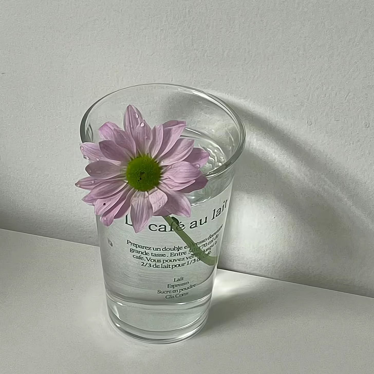 𝗪𝗲𝗖𝗵𝗮𝘁背景图丨简约专栏·壁纸+背景图