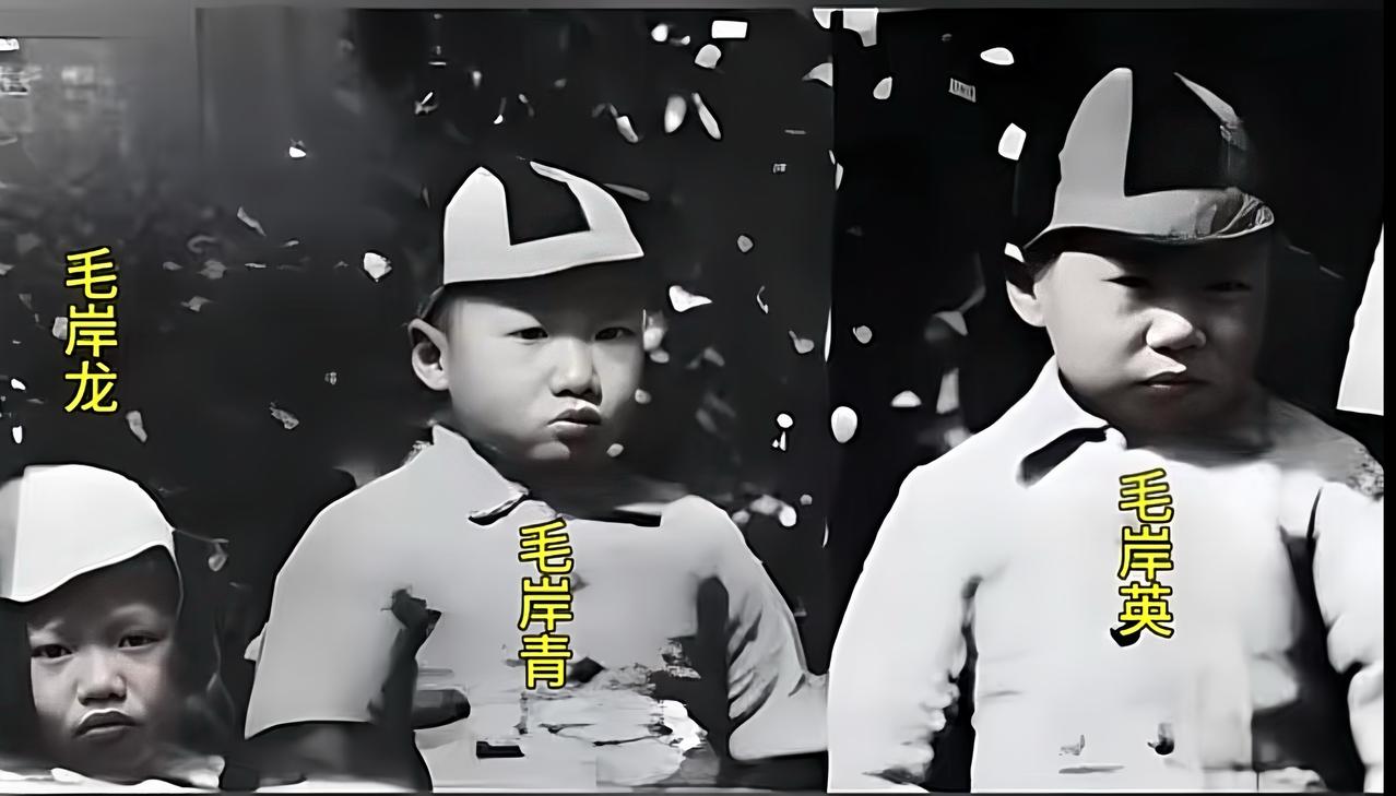 下图是毛泽东和杨开慧三个儿子最后的一张合影，照片被拍下时，杨开慧已遇害。照片