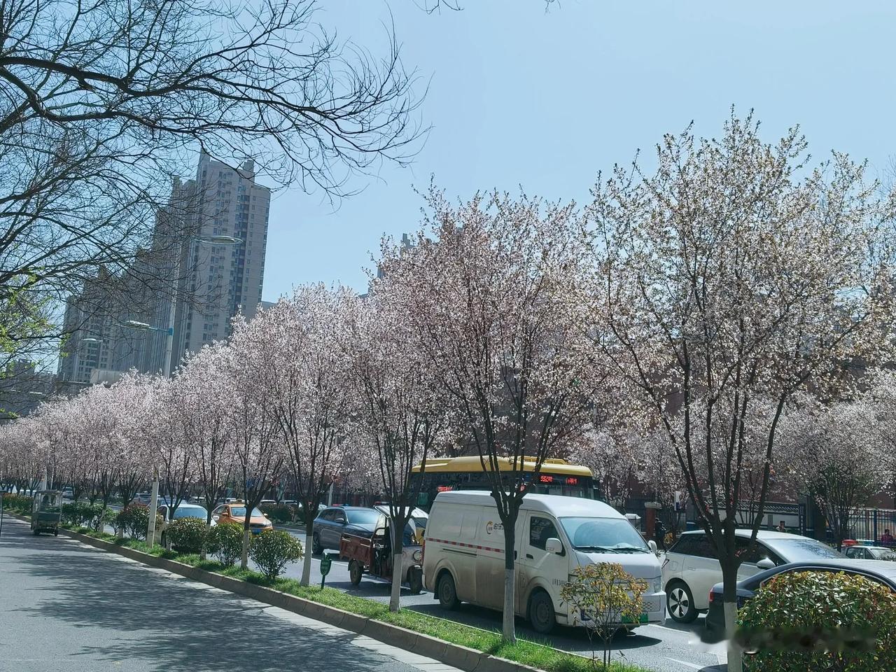 53岁，教龄31年，目前只听见过不认识的七年级学生👩🏻‍🎓叫她们班主任的名